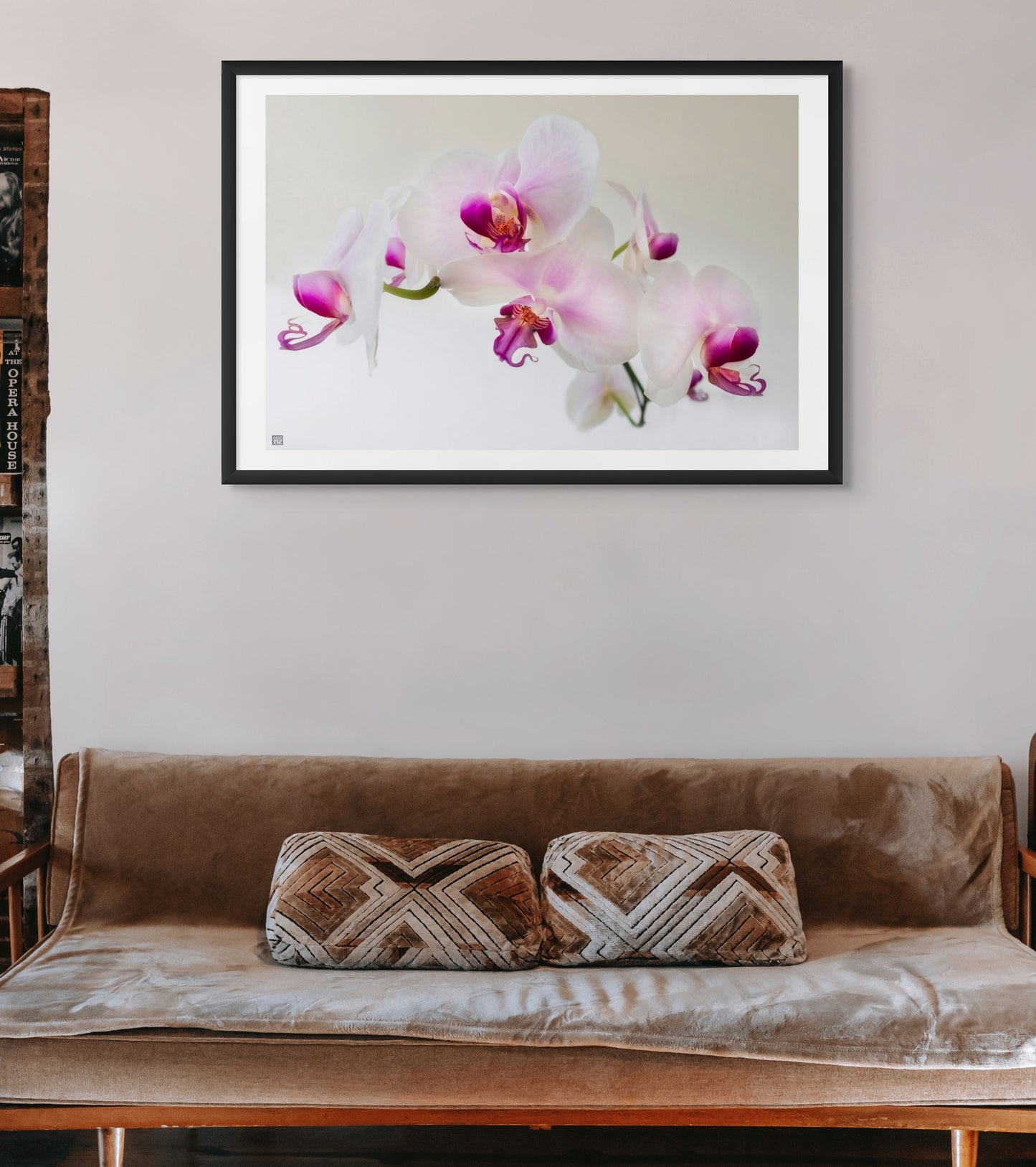 ORCHID FLOATING