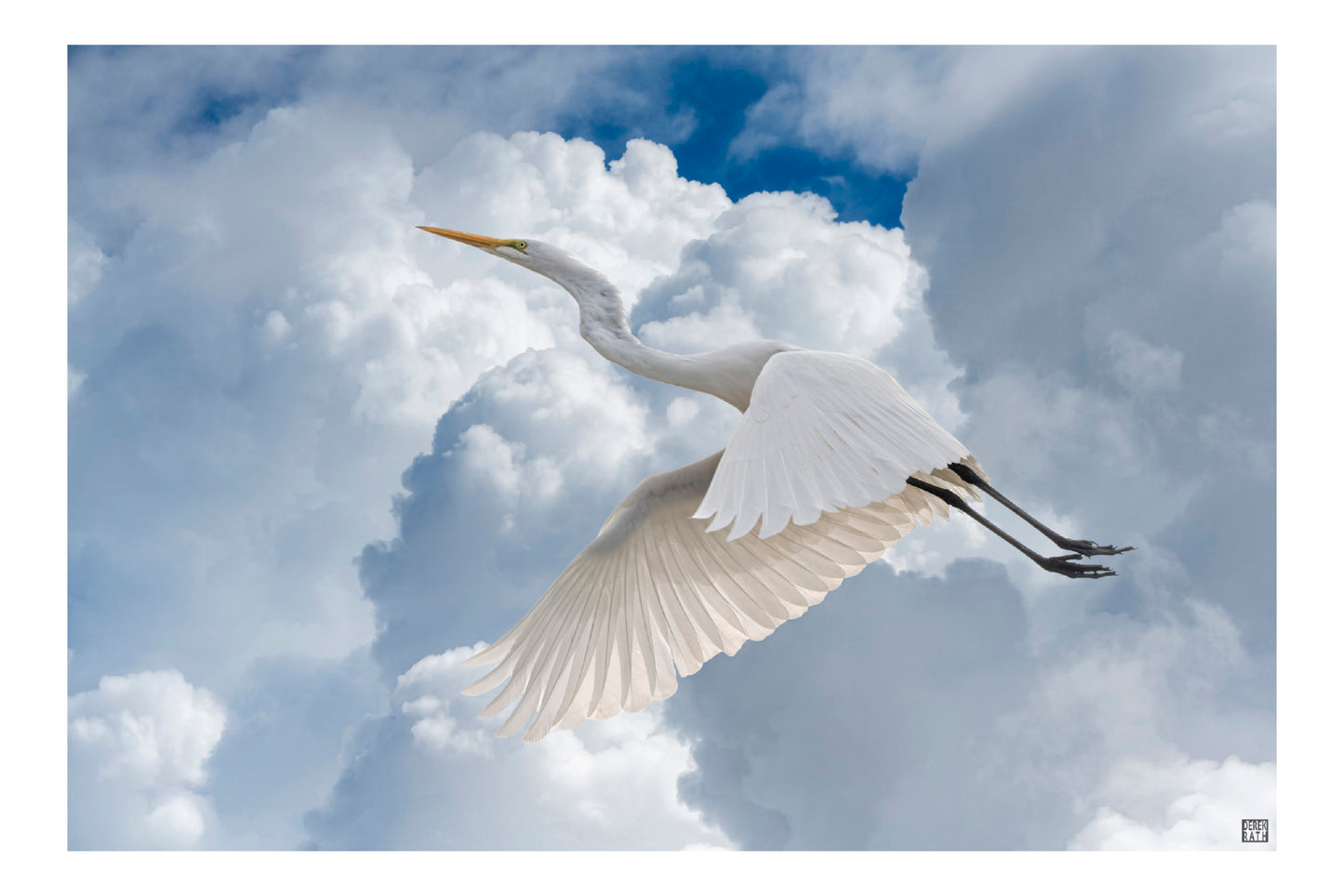 HERON IN THE CLOUDS