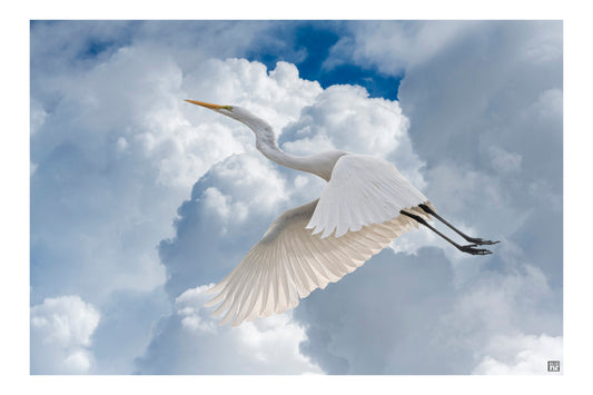 HERON IN THE CLOUDS